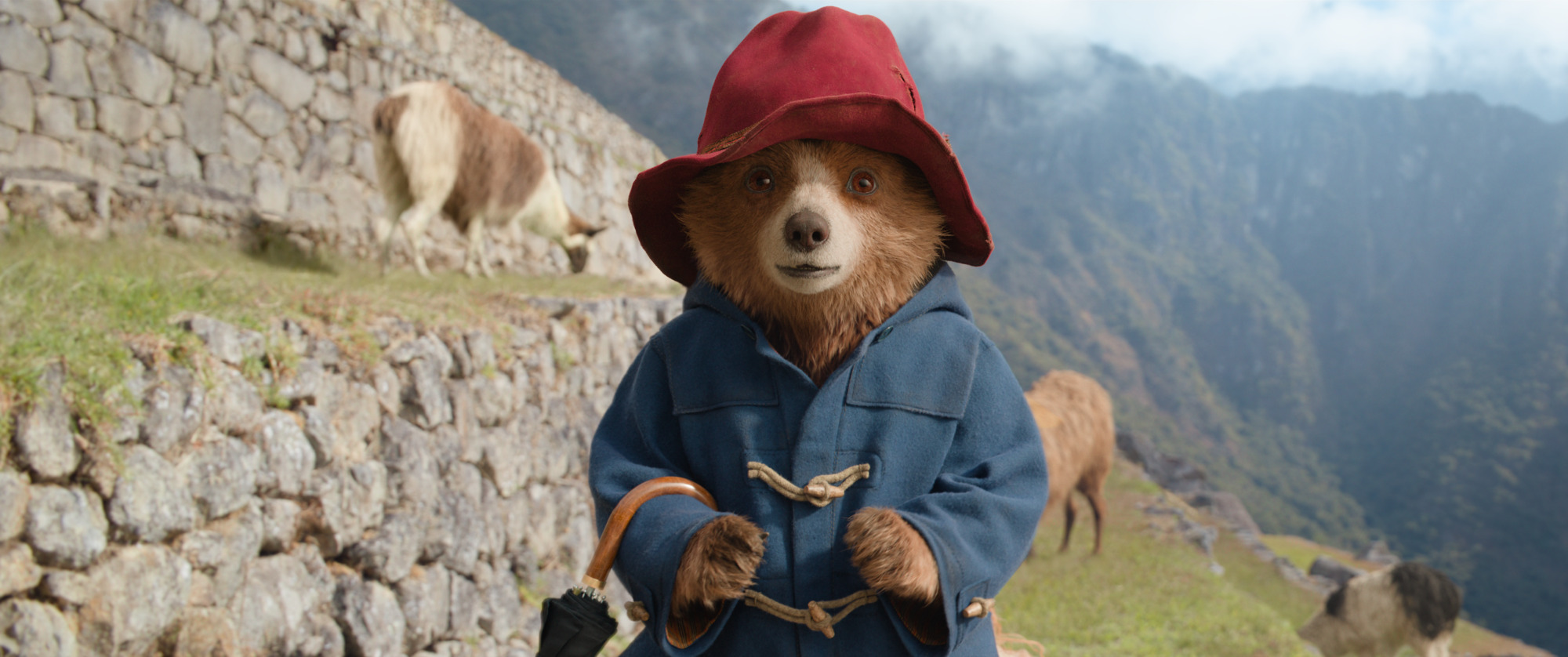 Séances en Avant-Premières // Paddington au Pérou